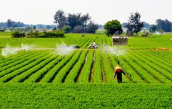 中国优质农产品示范基地认定暂行办法