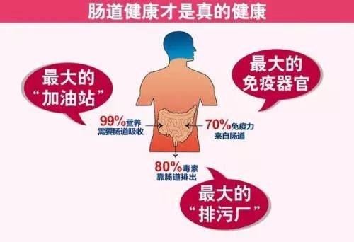 维护肠道健康就是最好的为延长寿命加分！