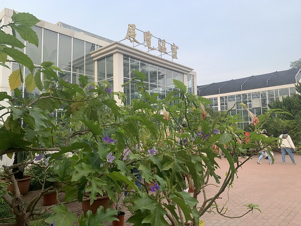 “数智岐黄”中医药大模型面世——千余部中医典籍超8万种方剂