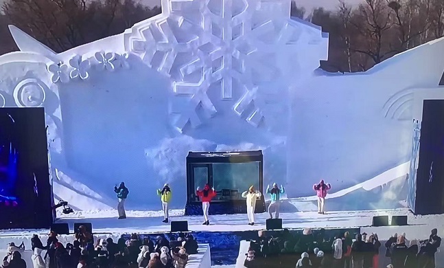 大寒雪染尽静待阳春归
