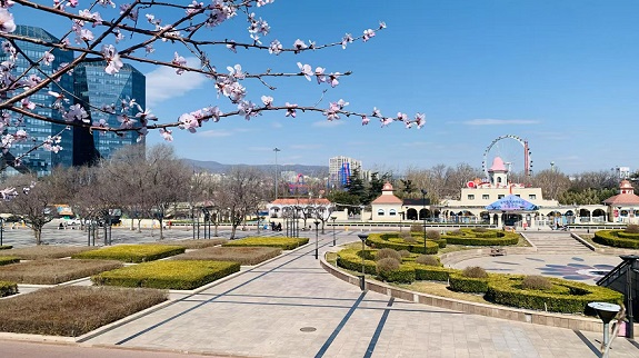 春分日月均 平疏巧健身