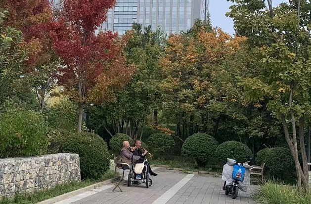 以中医药智慧助力韧性城市发展