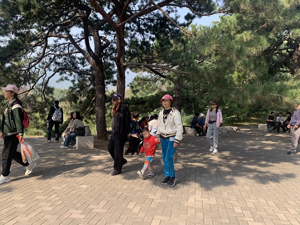 秋日熬夜耗心血 中医养阴有妙方