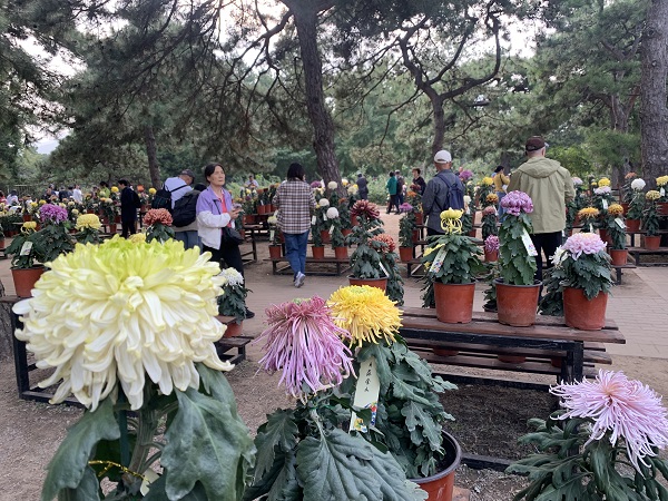 霜降骤冷：护脾胃、防秋燥，科学秋补迎冬来