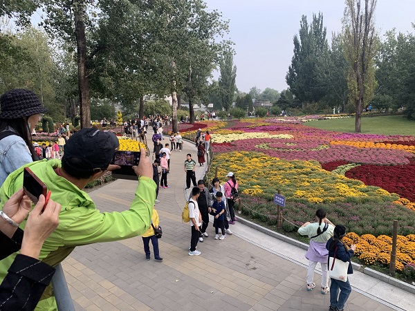 重阳遇骤冷：老年人“吃护养”三重发力，筑牢秋冬转换健康防线