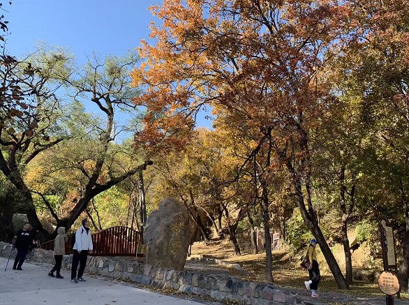 秋尽冬始，立冬时节做好三件事，平稳换季