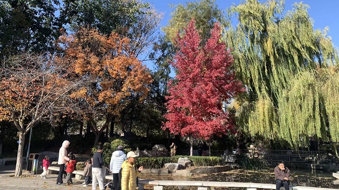 初冬藏养四要诀：攒足元气，稳启冬藏好状态