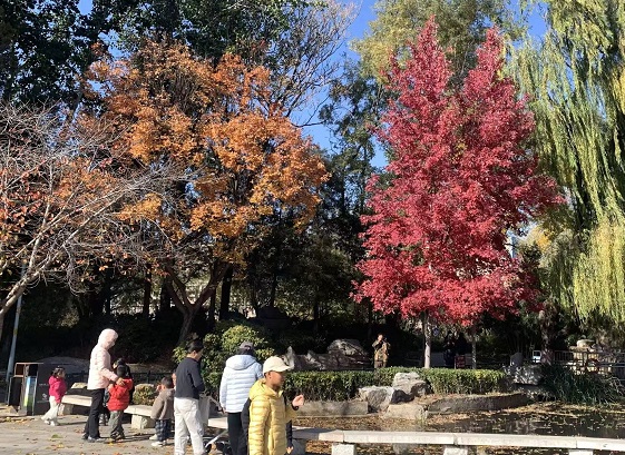小雪时节养生要紧扣天气变化抓住3大维度护健